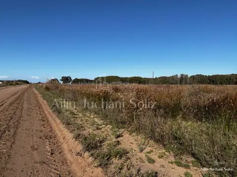 Campo en General Lavalle