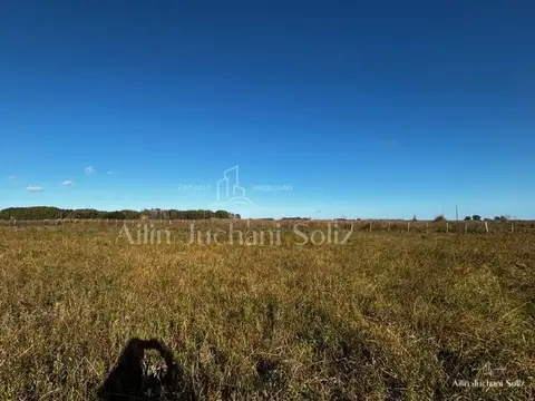 antigua ruta 11