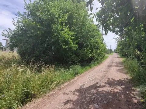 Terreno en Venta 103  mts Fondo