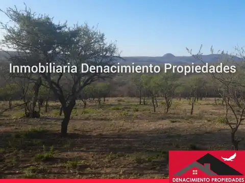 Terreno en Venta 35  mts Fondo