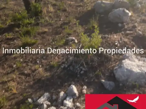 Terreno en Venta de 1000,0 m2