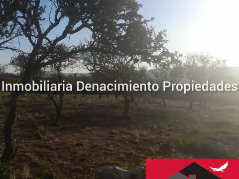 Terreno en Venta 30  mts Frente