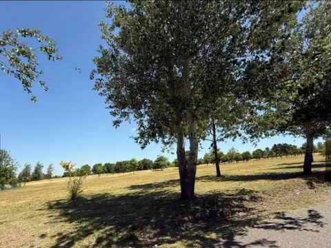 Terreno en Venta de 1156,0 m2