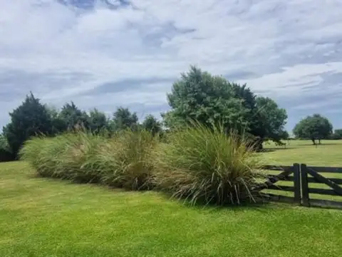 Terreno en Venta en Ibarlucea, USD 110.000