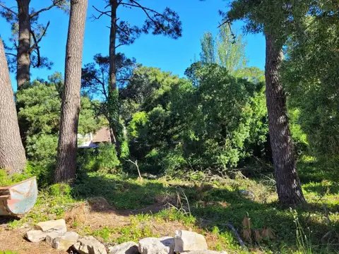 Terreno en Venta de 648,0 m2