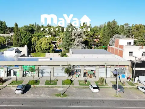 LOCALES COMERCIALES COLECTORA NORTE RUTA PANAMERICANA