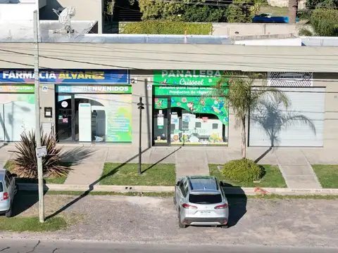 LOCALES COMERCIALES COLECTORA NORTE RUTA PANAMERICANA