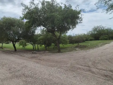 Ruta 100, Piso M15 L09