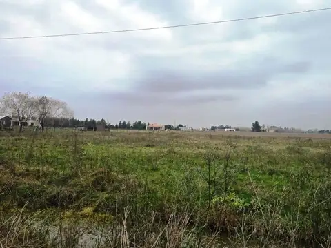 Terreno en Venta de 12000,0 m2