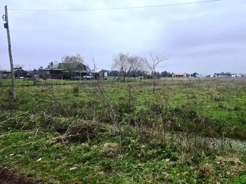 hernandez