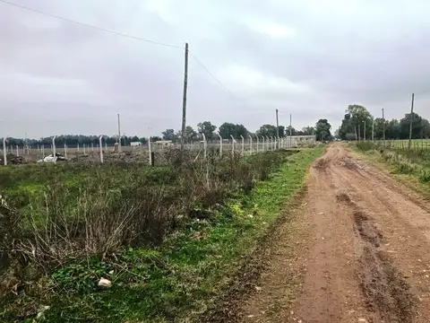 VENTA DE 1.2 HECTAREAS EN CAÑUELAS