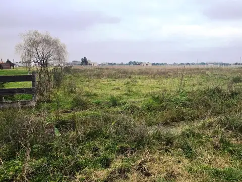 Terreno en Venta de 12000,0 m2