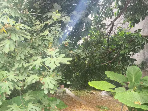 Terreno en Venta de 394,0 m2