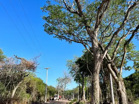 GRAN ARBOLEDAS - Loteo zona norte de Resistencia - Financia