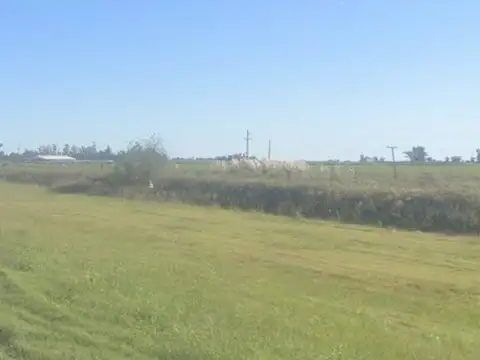 Campo en San Genaro
