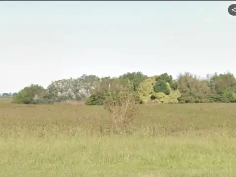 Campo en San Genaro