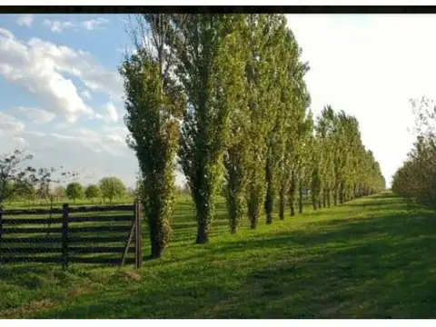 Terreno en Venta en Haras De Funes, USD 75.000