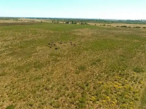50 Hectáreas Agrícolas/Ganaderas en "Campo Bello"