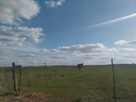 Camino Rural Nº16