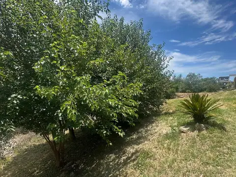 Terreno en Venta 50  mts Fondo