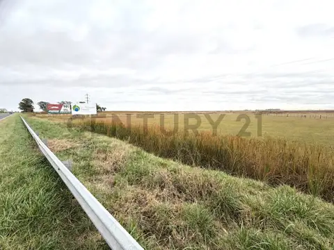 Campo de 8 hectáreas sobre Ruta Nacional 8 con renta publicitaria