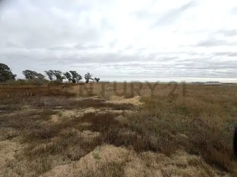 Campo de 8 hectáreas sobre Ruta Nacional 8 con renta publicitaria