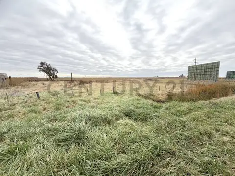Campo de 8 hectáreas sobre Ruta Nacional 8 con renta publicitaria