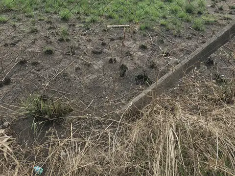 Terreno en venta en La Union