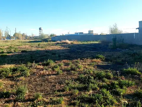 Terreno en Venta en General Roca, USD 18.000