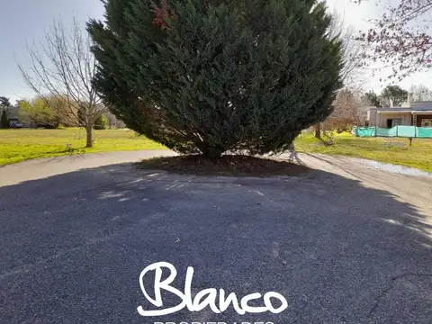 Terreno en Venta de 1000,0 m2