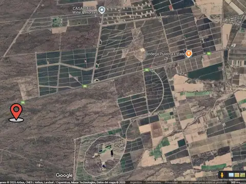 VENTA CAMPO DE 95 HA RUTA N°86