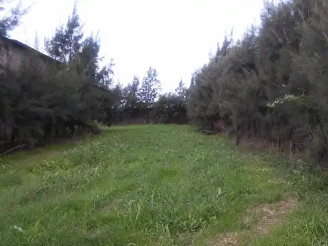 Galpon en Venta 8 años