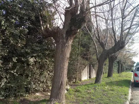 TERRENO LOTE EN VENTA OPORTUNIDAD EN NAVARRO