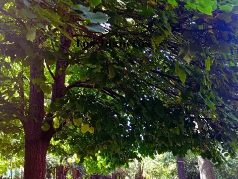 LOTE FINANCIADO DE  425 M2 EN EL CAZADOR ESCOBAR