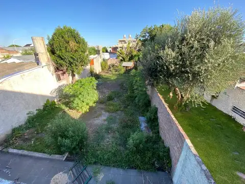 Garibaldi 2648