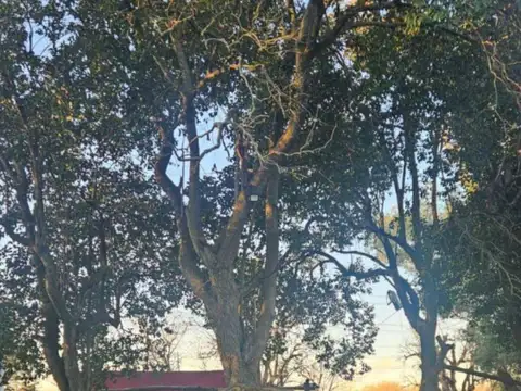 Campo en venta - 4 Hectáreas - Vicente Casares