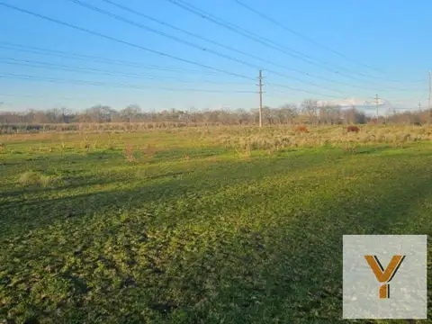 Campo en venta - 4 Hectáreas - Vicente Casares