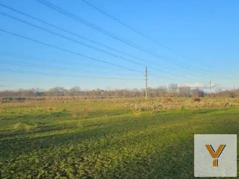 Campo en venta - 4 Hectáreas - Vicente Casares