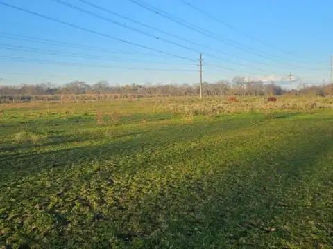 Campo en venta - 4 Hectáreas - Vicente Casares