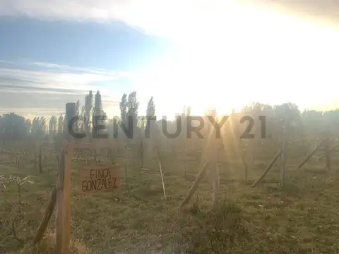 Terreno en Venta en Cuadro Benegas, USD 32.000