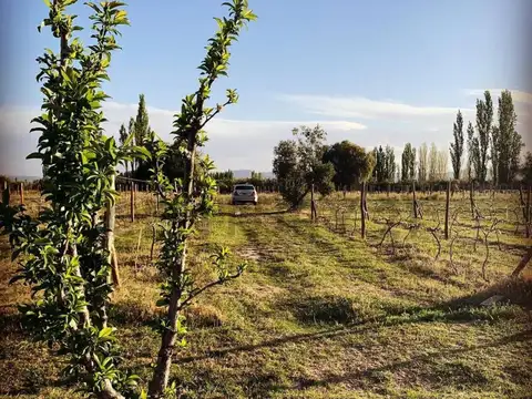 Terreno en Venta de 3139,0 m2