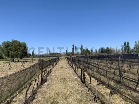 VENTA DE LOTE SAN RAFAEL COMPLEJO MIRAVIÑAS