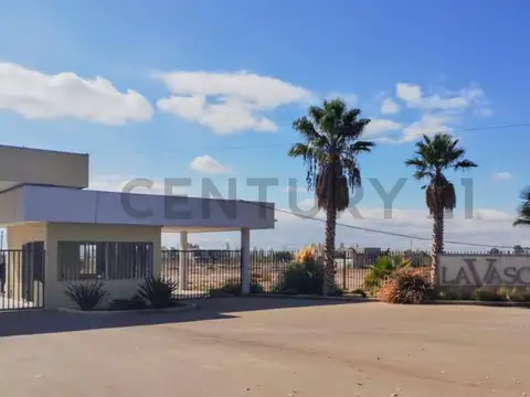 Excelente Terreno 350m2 en Coquimbito