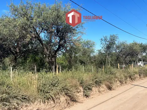 Terreno en Venta 32  mts Frente