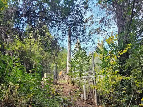 Terreno en Venta de 3615,0 m2