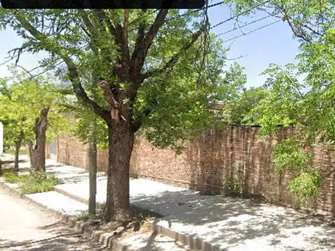 Libertad 800