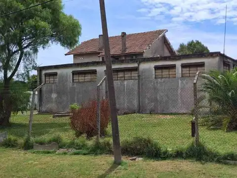 Faisan solar 1000