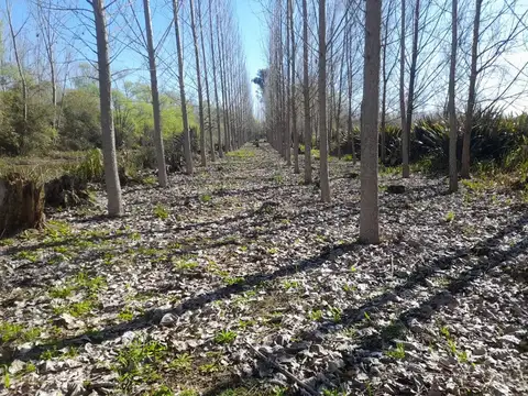 Terreno en Venta de 180370,0 m2