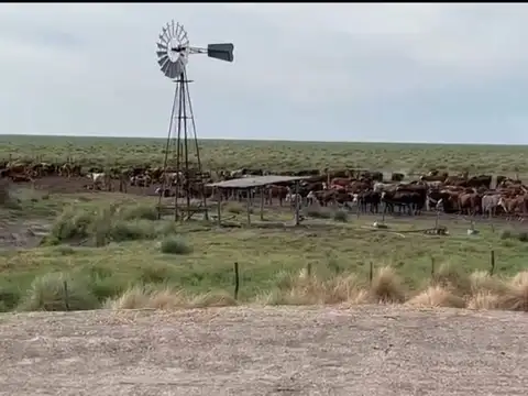 Venta de Campo - 15.000 Hectáreas -