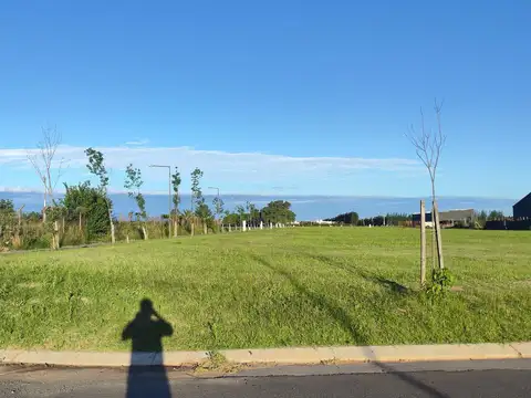 Terreno en Venta 40  mts Frente